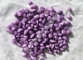 彩豆系列  紫色